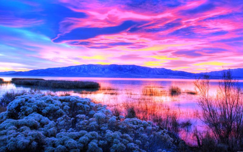 Featured image of post 2026.03.11随笔